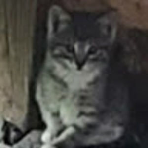 Meet your Posher, Raul